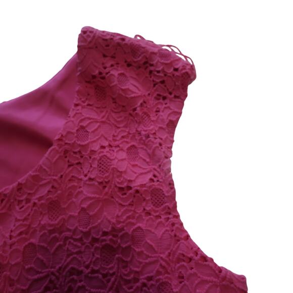 Ronni Nicole Pink Lace Sleeveless Dress XL Damask Eyelet Scoop Neck Cottage Boho - Picture 9 of 14